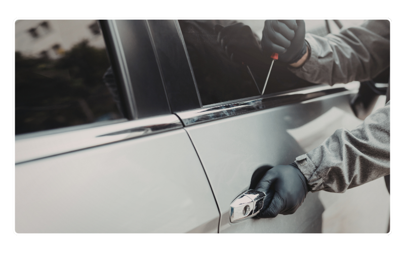 Theft & Property Crimes
