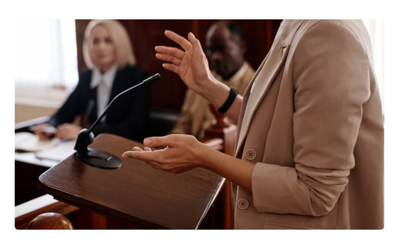 Trademark Litigation