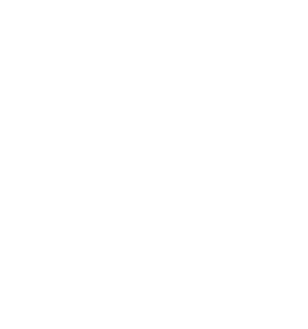 Equal Housing Opportunity Logo White
