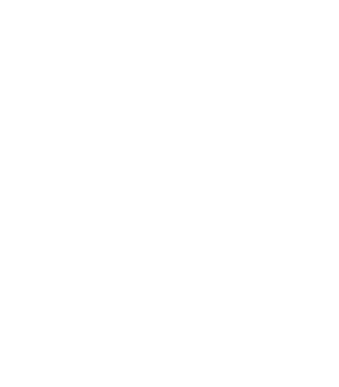 white wheelerchar accessible logo