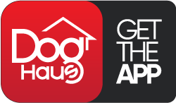 Dog Haus Biergarten Rancho