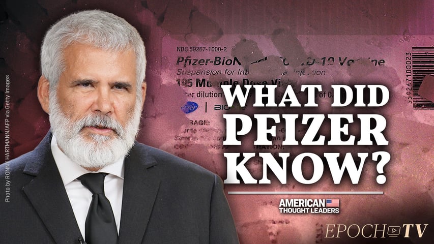 Dr. Robert Malone on the Pfizer Documents and Evidence of Cardiotoxicity, Birth Defects, and the Rise in All-Cause Mortality