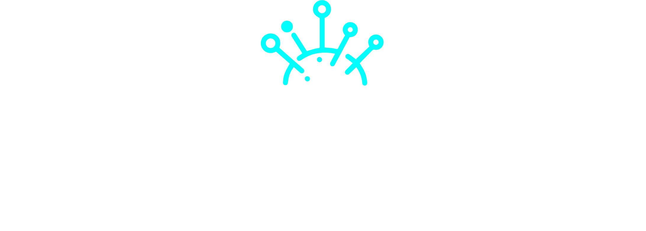 mindzie logo