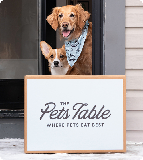 A Golden Retriever and Corgi looking out a door at a The Pets Table delivery box.