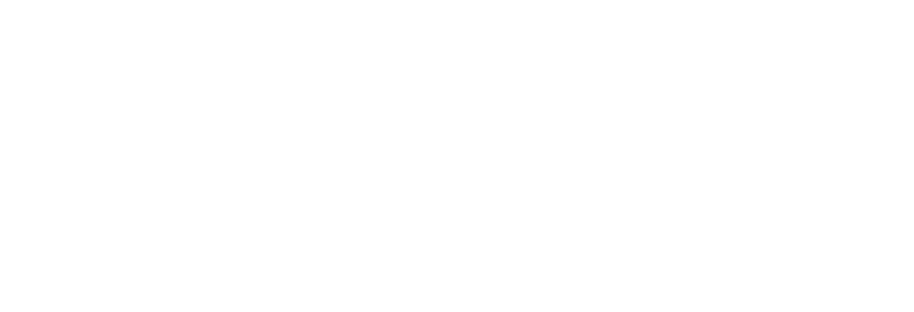 Toshiba Logo white