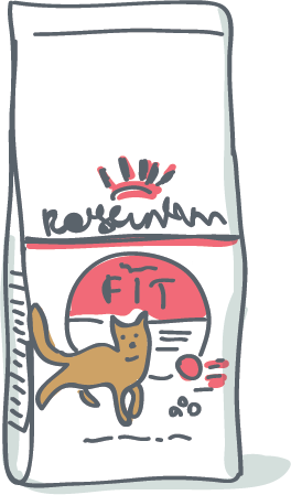 Croquette Chat Royal Canin