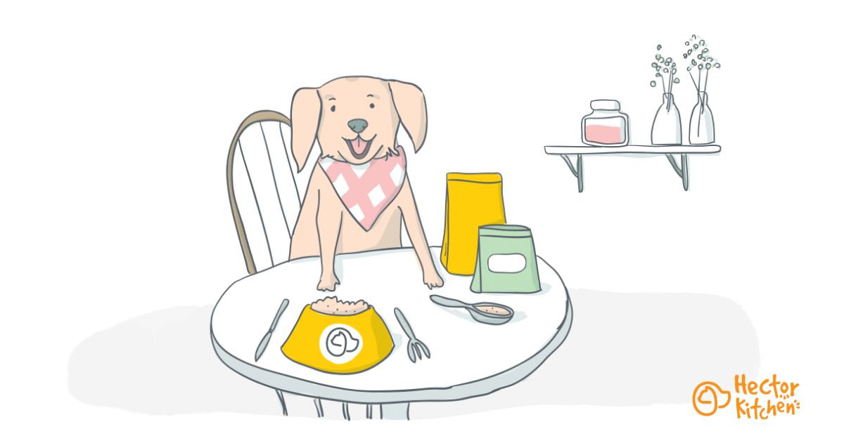 Quels os de viande pour mon chien ? - Agria Assurance pour animaux