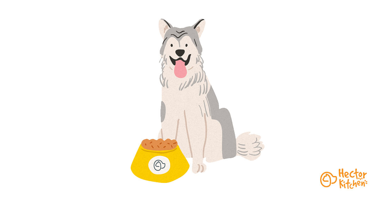 Croquettes Malamute : Guide complet  Hector Kitchen