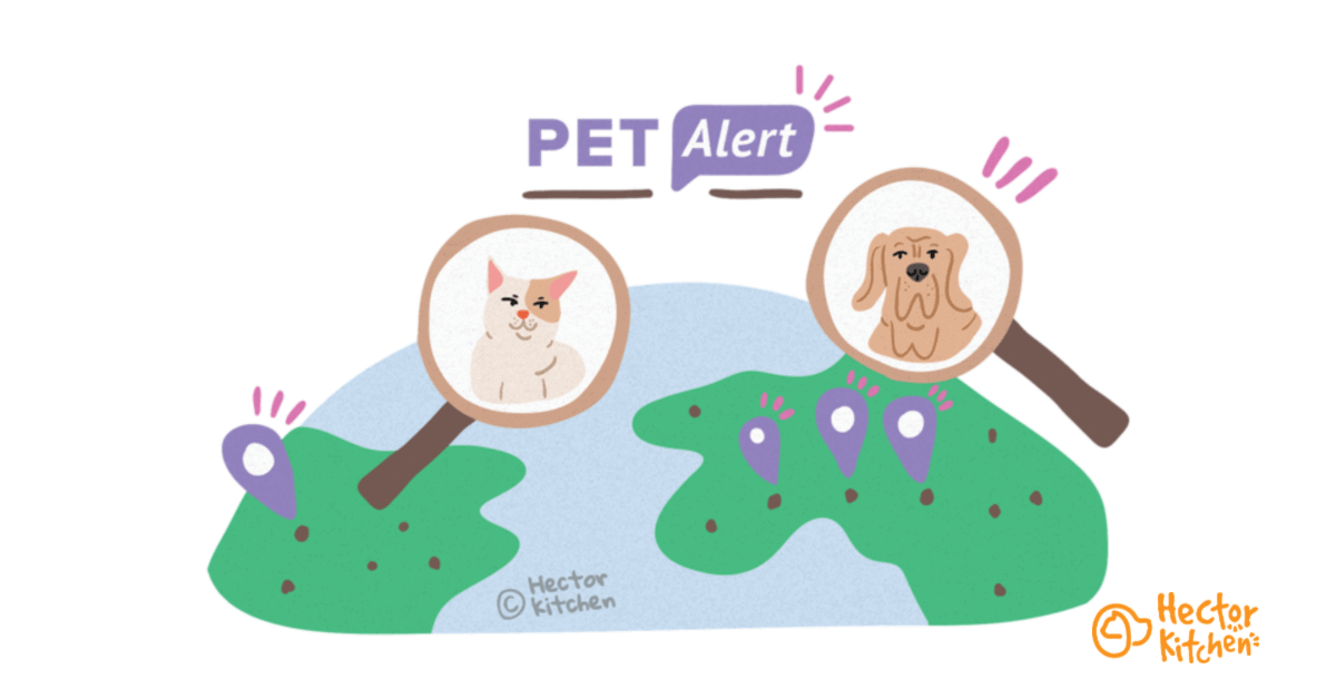 Pet Alert : le réseau pour retrouver son animal perdu
