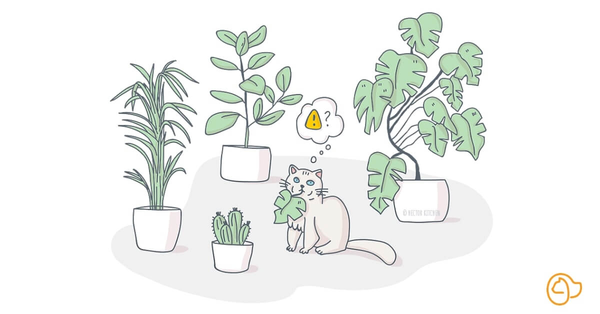 Plantes toxiques et dangereuses pour chat