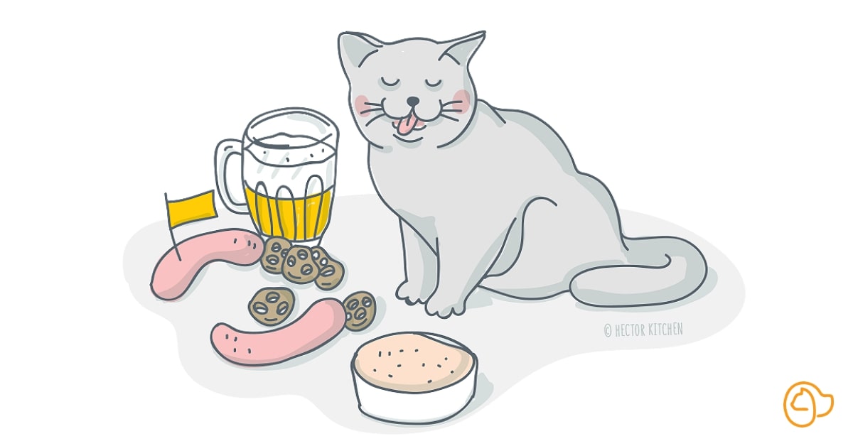 Levure bière chat bienfaits
