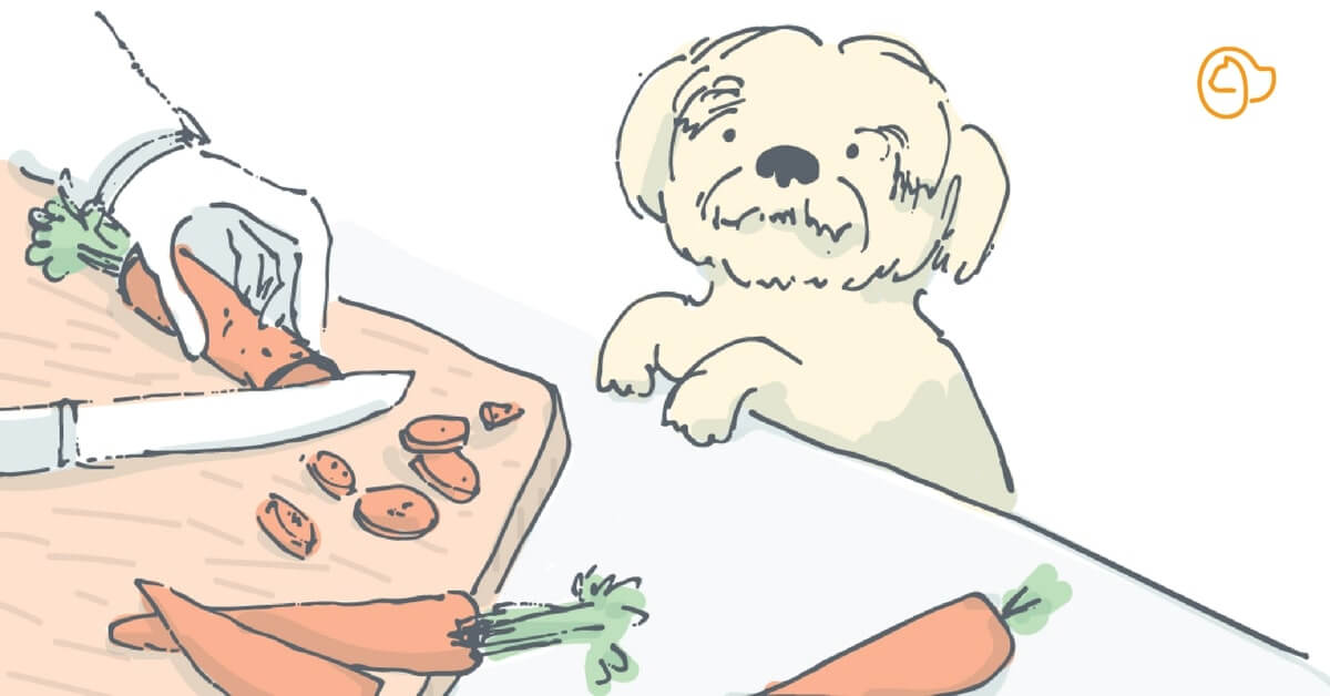 Recettes faciles pour faire des friandises pour chien