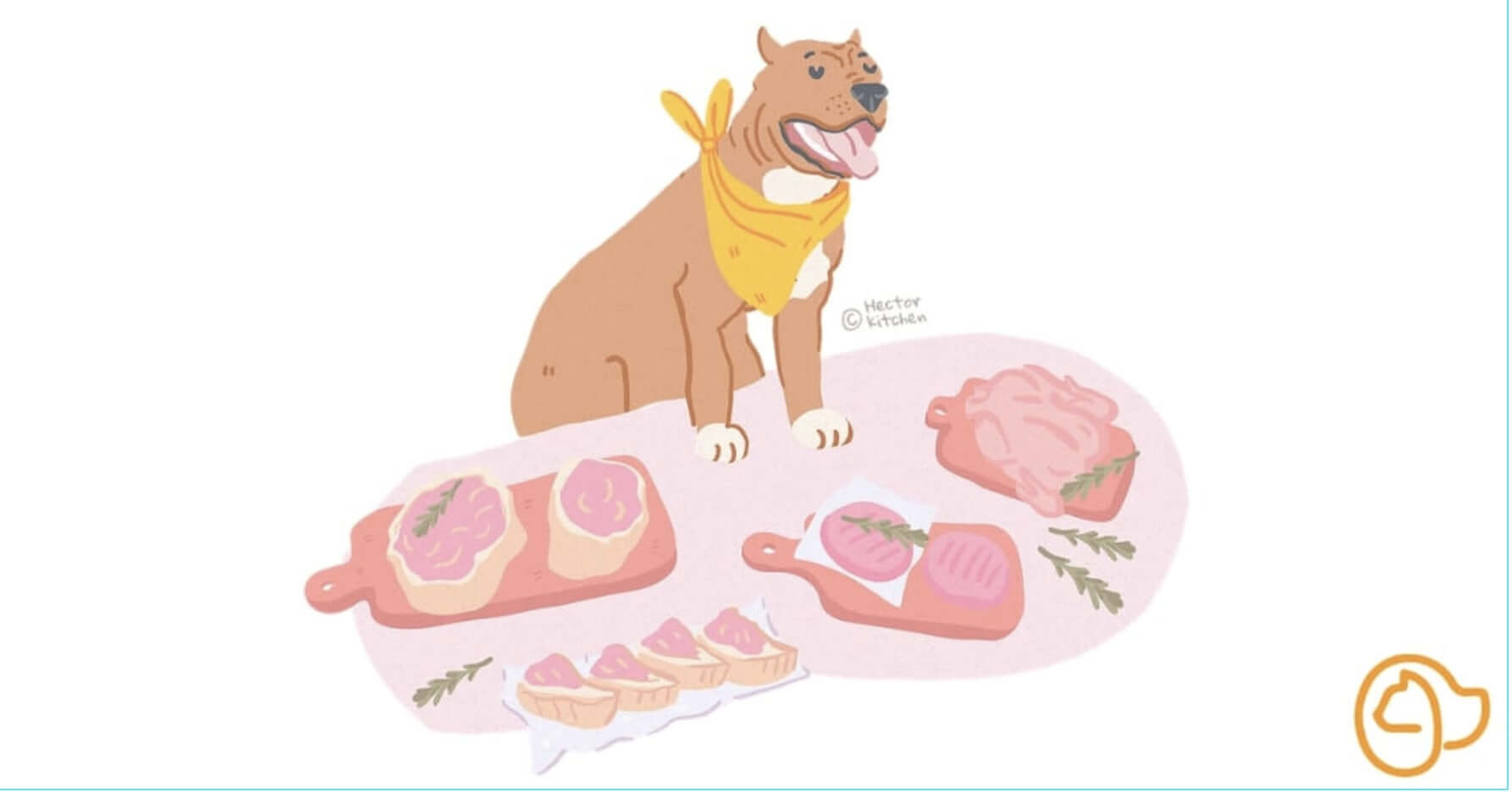 Viande crue chien