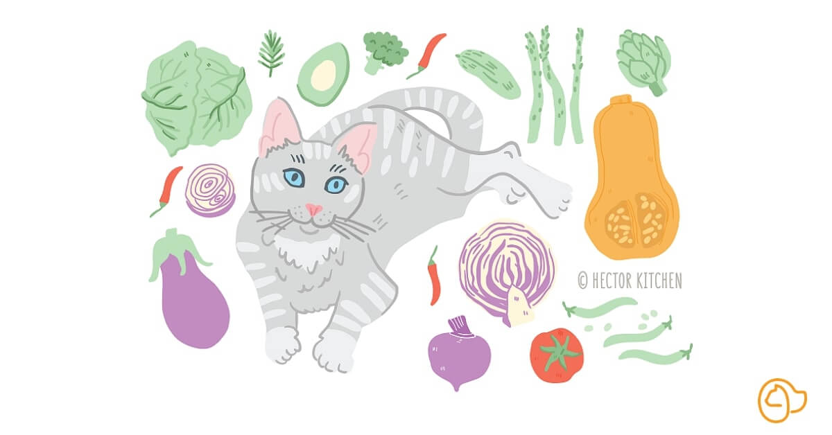Légumes toxiques pour le chat