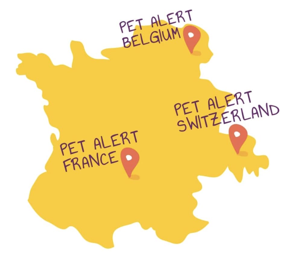 Pet Alert Site Officiel N 1 En France