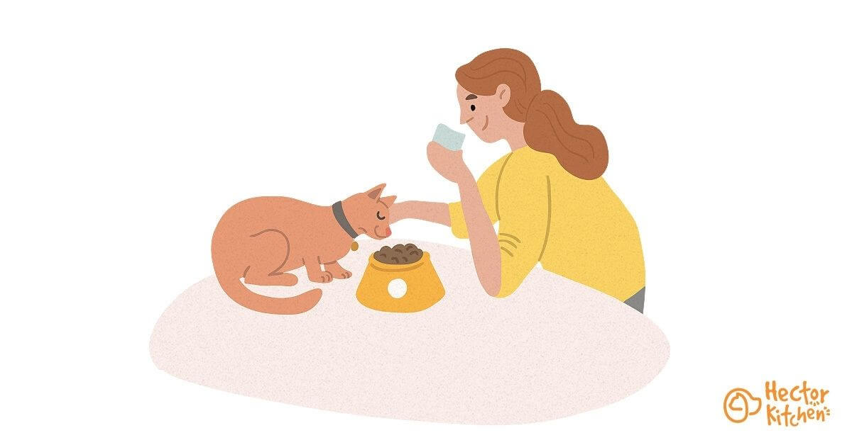 Quelle nourriture donner à son chat ?