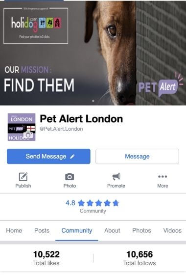 Find Your Doglost Or Lost Pet With Pet Alert Uk