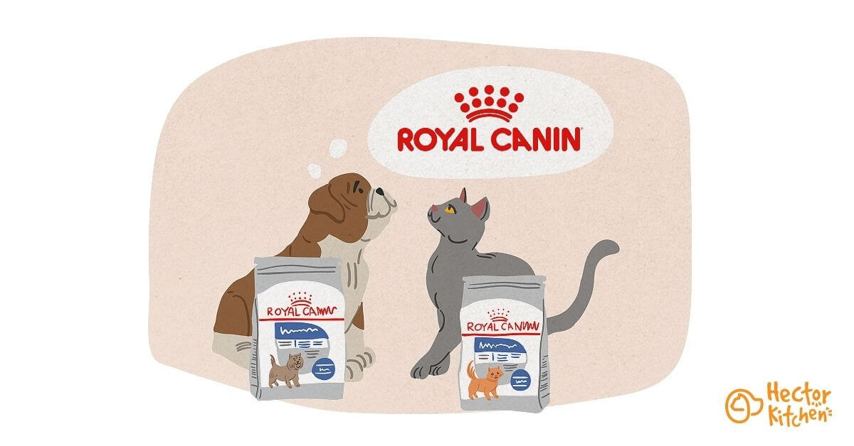 Royal Canin : le roi de l’alimentation pour chien et chat