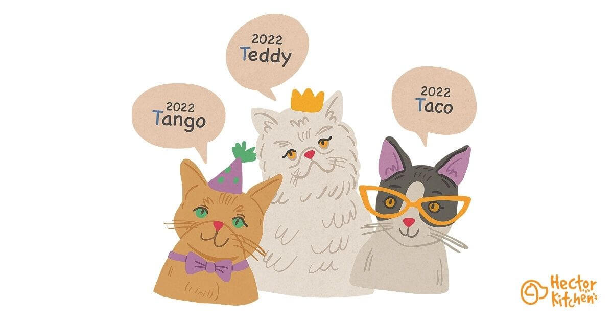 Noms de chat en T pour 2022 [TOP 100]