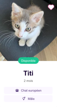 Pet Adoption Adoptez Facilement Chiot Ou Chaton En France