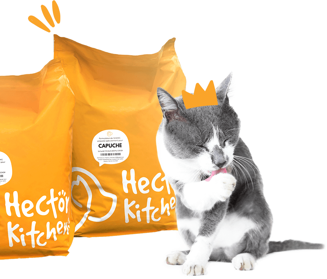 Croquettes Hector Kitchen pour chat