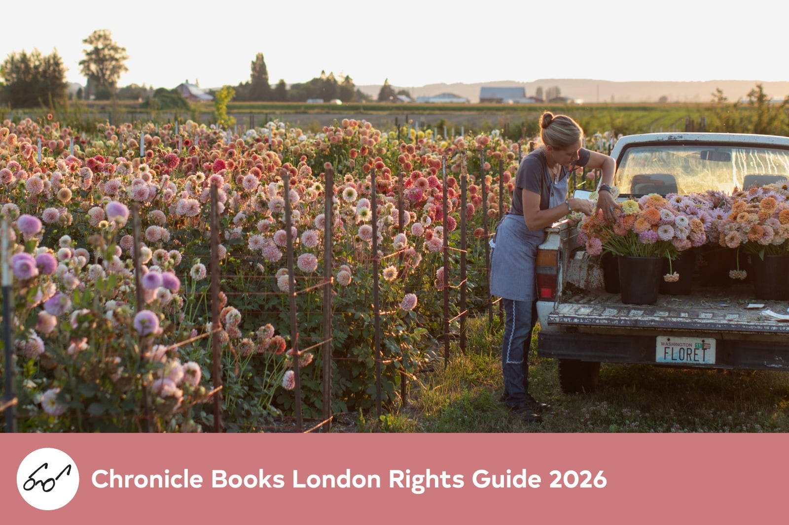 Spring 2022 Children's Rights Guide