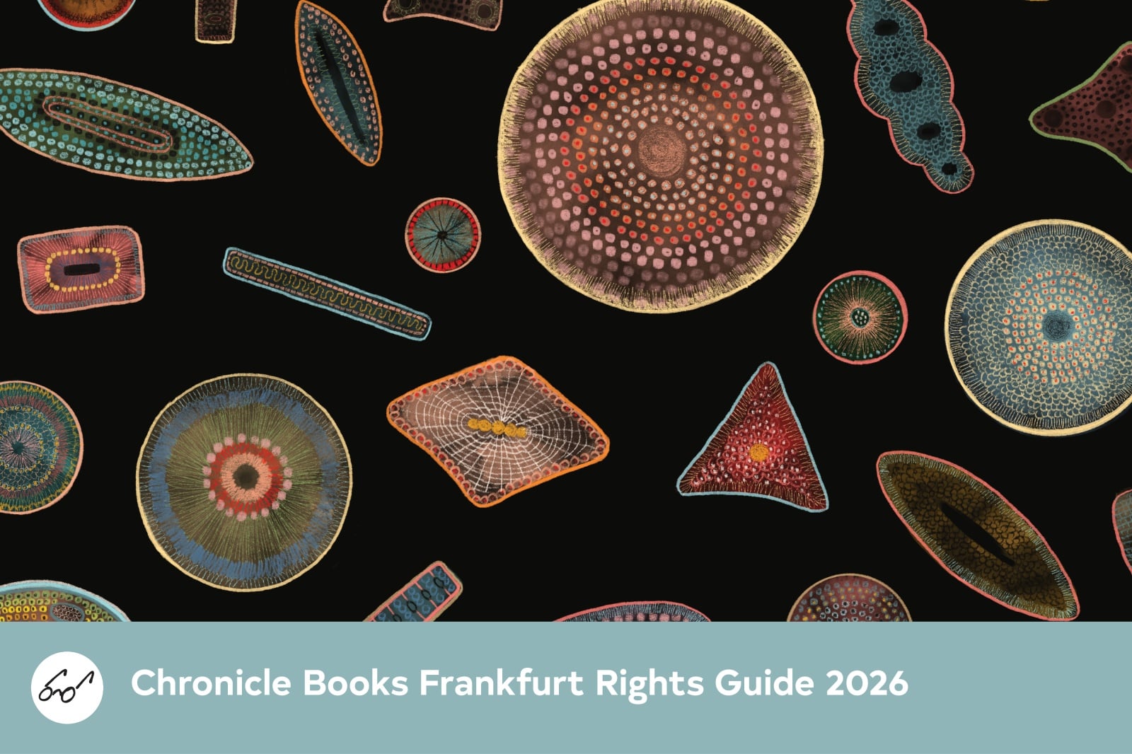 Spring 2022 Children's Rights Guide