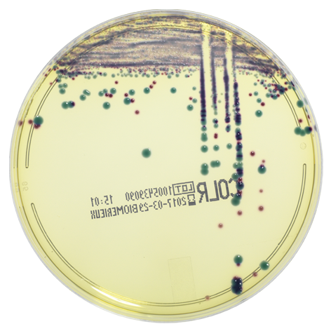 bioMérieux CHROMID® MDRO range