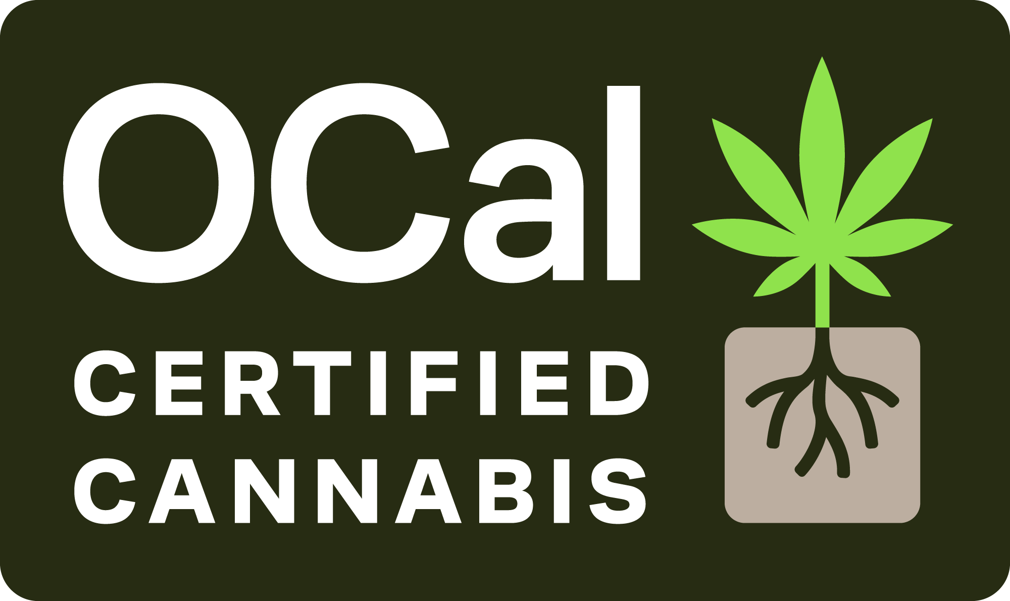 new logo